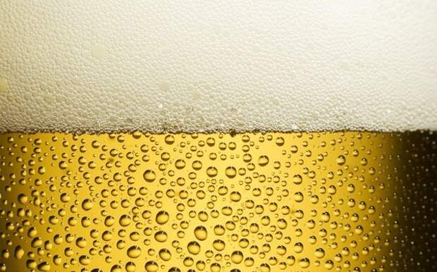 Почему пить пиво вредно?