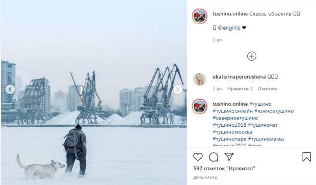 Фото дня: зимний постапокалипсис