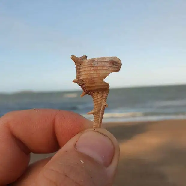 25 интересных и познавательных снимков со всего мира, которые наверняка вы увидите впервые 