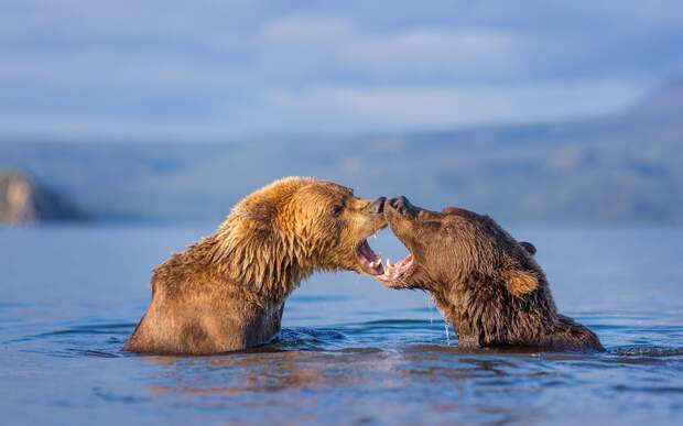 VlasovEgor / nat-geo.ru