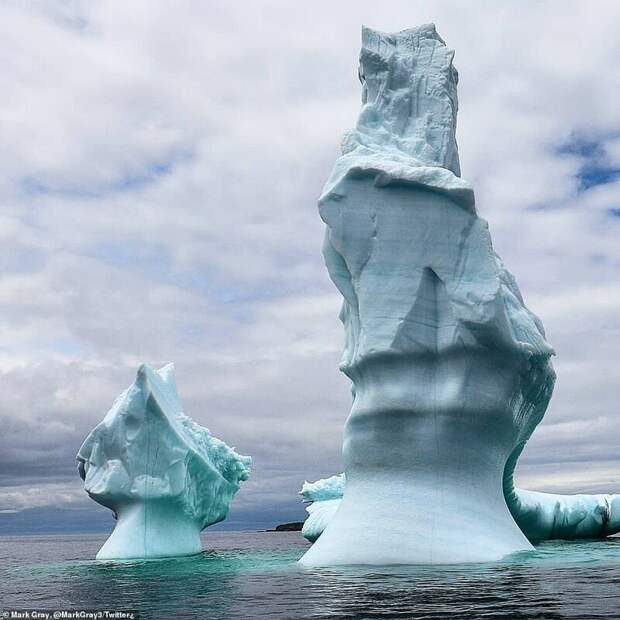 Как выглядит шествие айсбергов по Лабрадорскому морю айсберг, айсберги, аллея, вот это да!, канада, лабрадор, лед тронулся, природа