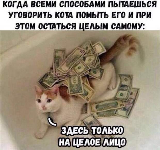 Новые прикольные фотомемы (22 шт)