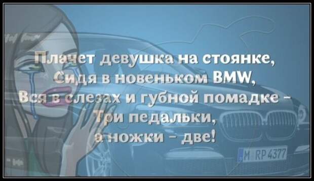 Прикольные картинки картинки из сети, прикол, юмор