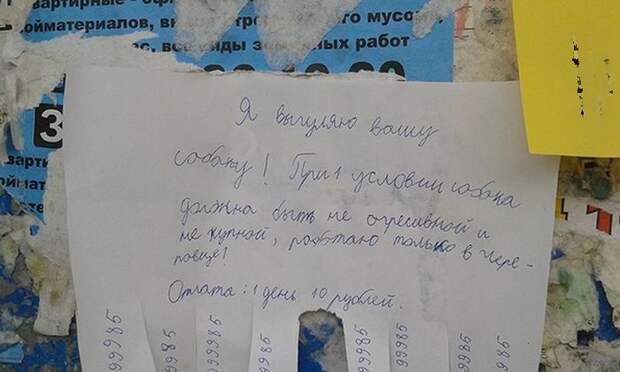 Прикольные картинки Прикольные картинки