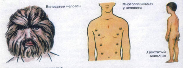 Оптимизация мозга и накачанный палец: что сделает с человеком эволюция