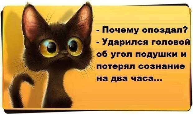 Всяко - разно 11 ))) Всяко - разно 11 )))
