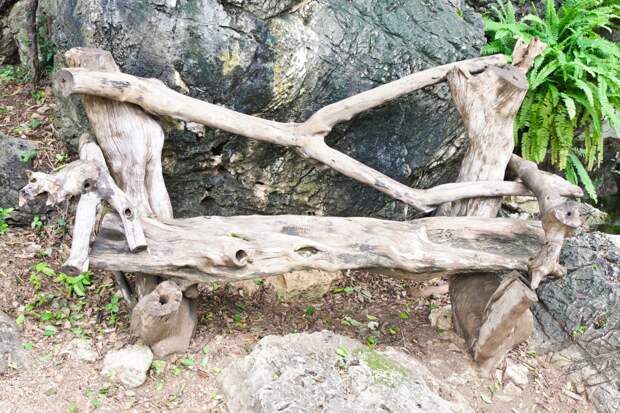 Скамья из коряг Скамья из коряг