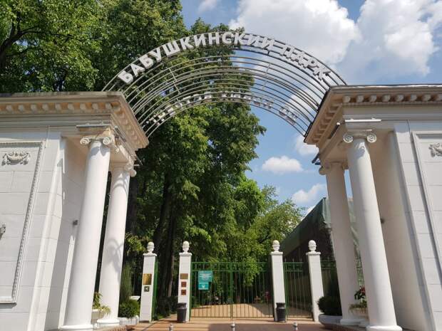 Площадка для воркаута работает в Бабушкинском парке