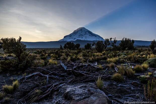 Sajama27 Национальный парк Сахама