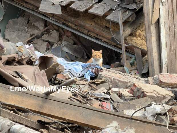 последствия атаки БПЛА на жилые дома в Ясиноватой