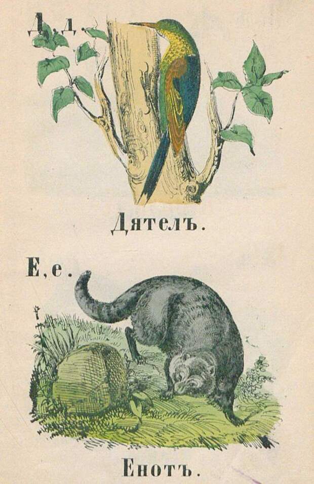 Азбука с картинками. 1874