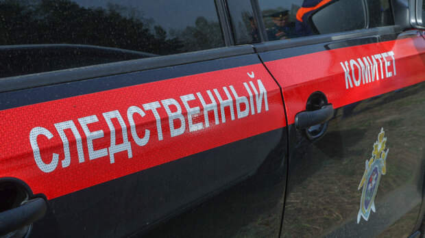 Задержан подозреваемый в похищении пропавшей в Смоленске девочки