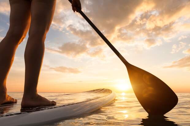 Paddleboarder Surrounded By 12 Whales For An Hour Gets Knocked Off Board In Surreal Encounter