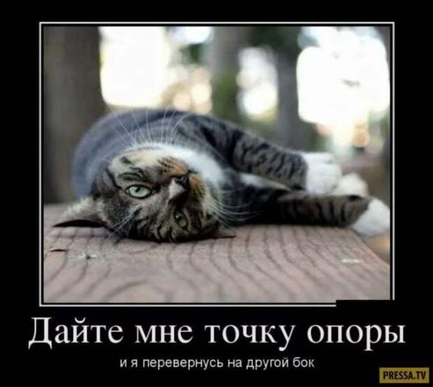 Прикольные демотиваторы с надписями. Подборка chert-poberi-dem-chert-poberi-dem-35290913072020-10 картинка chert-poberi-dem-35290913072020-10