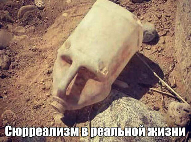 Очередная порция картинок с подписями-26 фото-