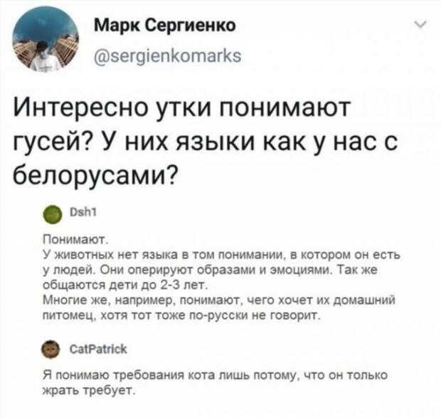 Смешные комментарии. Подборка chert-poberi-chert-poberi-38130618022020-4 картинка chert-poberi-38130618022020-4