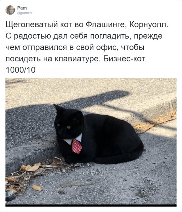 www.vsyako.net