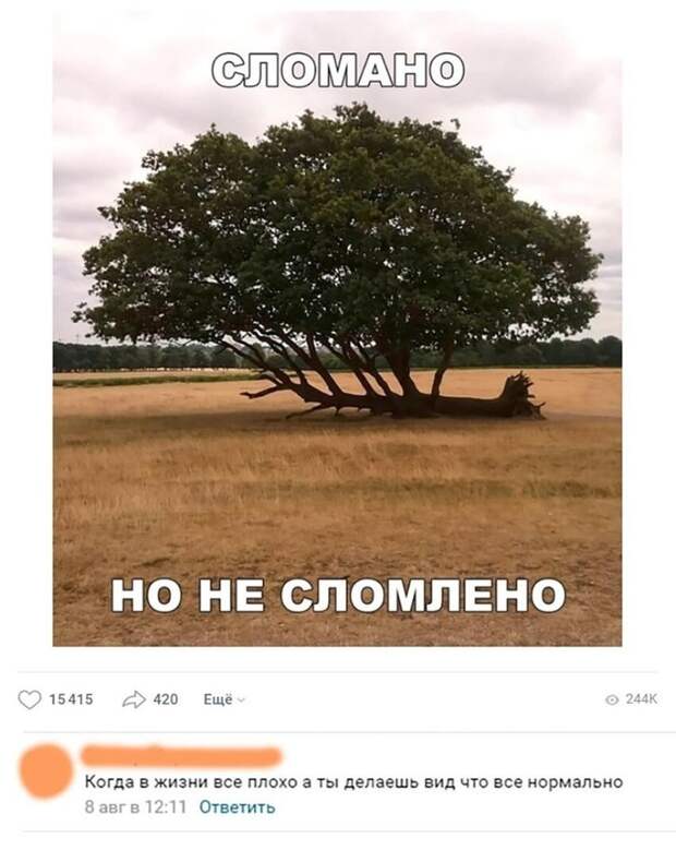 Пост о настоящей стойкости