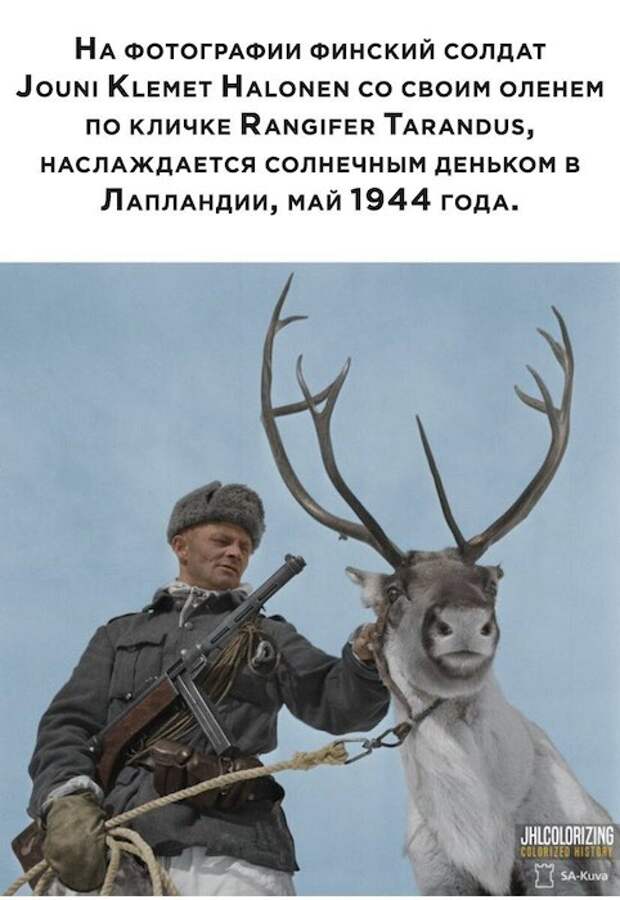 Почему так происходит? Причин три: жадность, невежество и лень Почему так происходит? Причин три: жадность, невежество и лень
