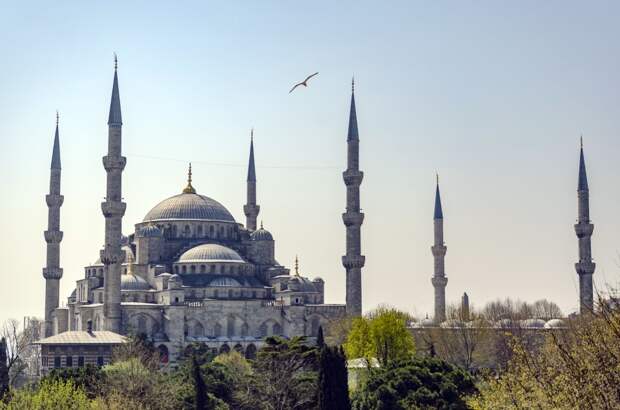 Прогулка по Стамбулу. Мечеть Sultanahmet Camii (Blue Mosque)