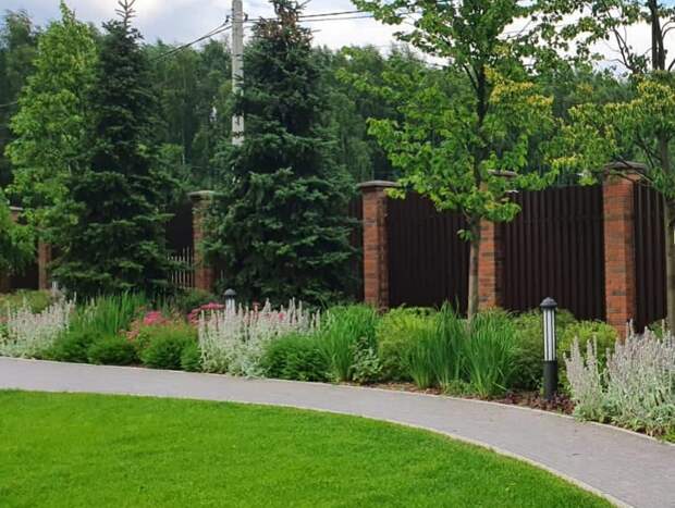 Надо ли стричь/обрезать деревья в сезон?