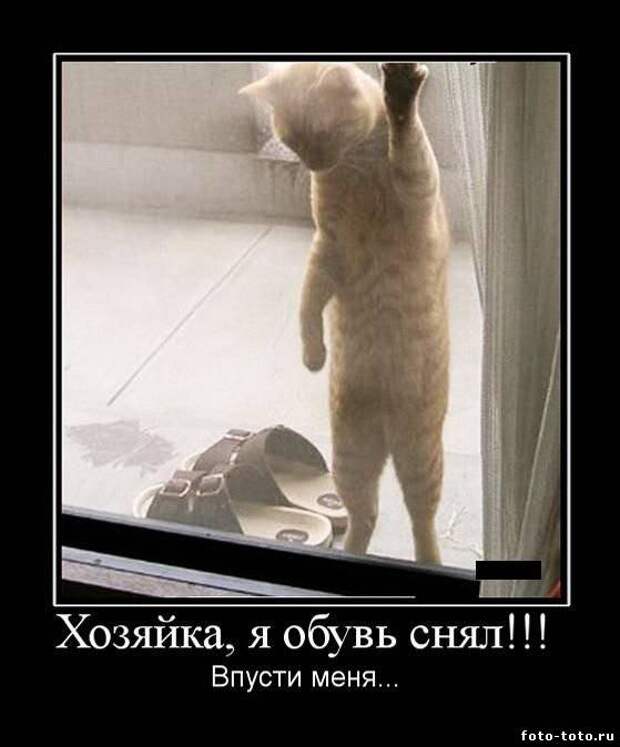 откройте двери люди я ваш. откройте двери люди я ваш. дверь в жизнь. откройте двери люди я ваш брат. человек за дверью.