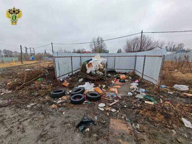 В тульском Волово обнаружили свалку и разрушенную площадку для мусора