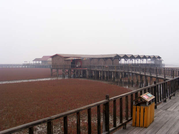 Красный пляж в Китае