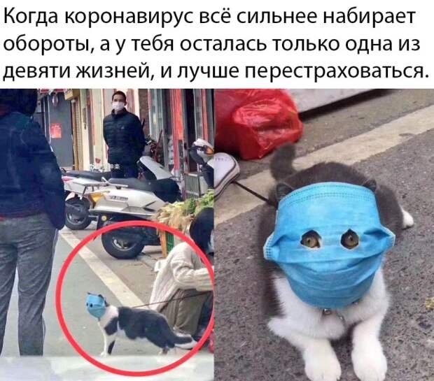 www.vsyako.net