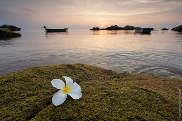 Ко Тао - обетованный остров в Сиамском заливе