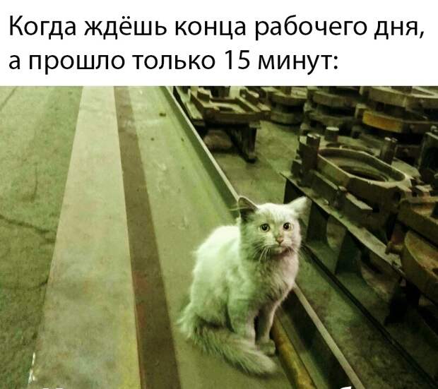 www.vsyako.net