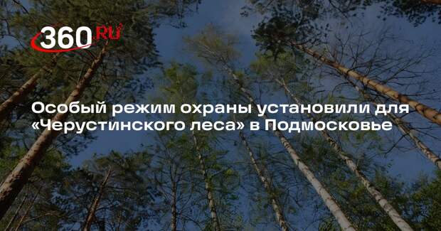 Особый режим охраны установили для «Черустинского леса» в Подмосковье