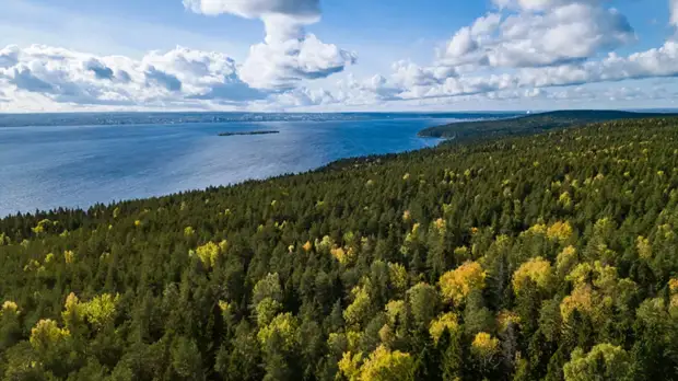 Эксперт рассказал о влиянии ситуации с коронавирусом на природу