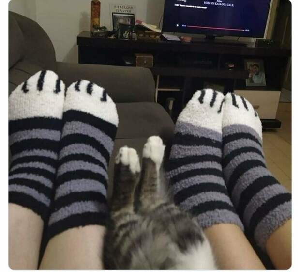 Потому что мы семья Потому что мы семья