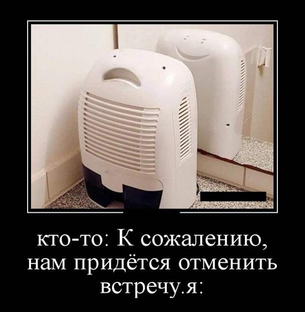 Демотиваторы (20 фото)