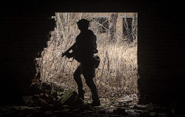 ВСУ за неделю потеряли более 1 195 военнослужащих в зоне Южной группировки