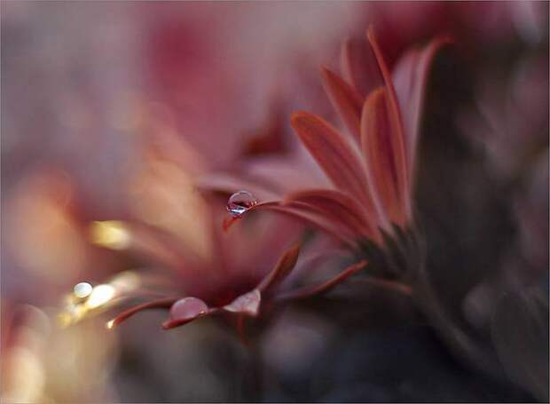9 (700x514, 20Kb)