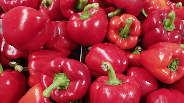 От рака и холестерина: Малышева назвала три важных продукта после 50 лет
