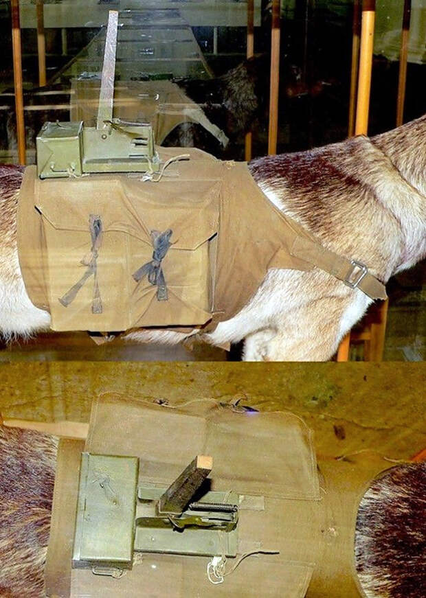 Самое странное смертельное оружие в истории человечества Самое странное смертельное оружие в истории человечества
