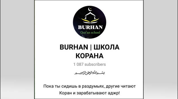 Скриншот описания телеграм-канала Холзоды
