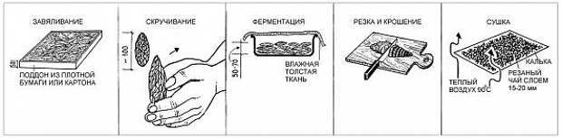 img9