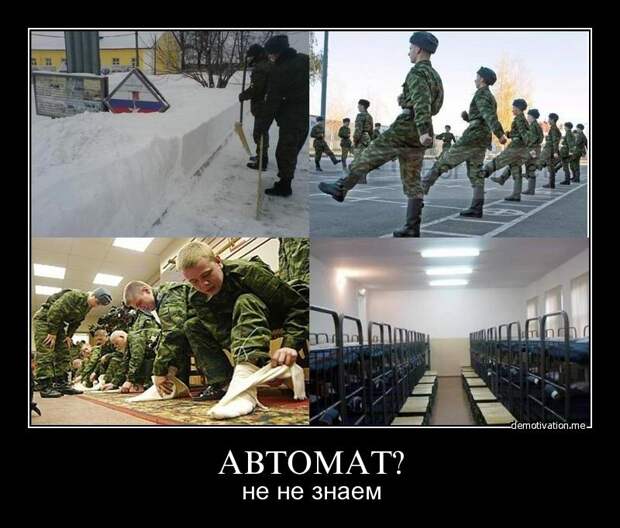 http://s2.uploads.ru/fTeZo.jpg