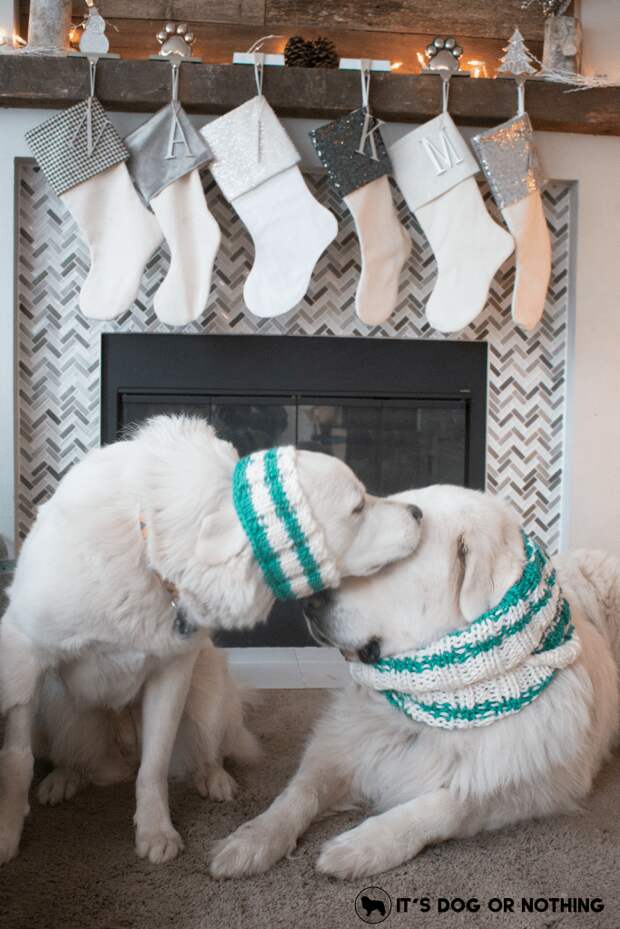 It's cold outside, and what better way to keep warm than chunky scarves that you can match to your dog? Enter to win a custom scarf from Johnny Knitsville on It's Dog or Nothing!