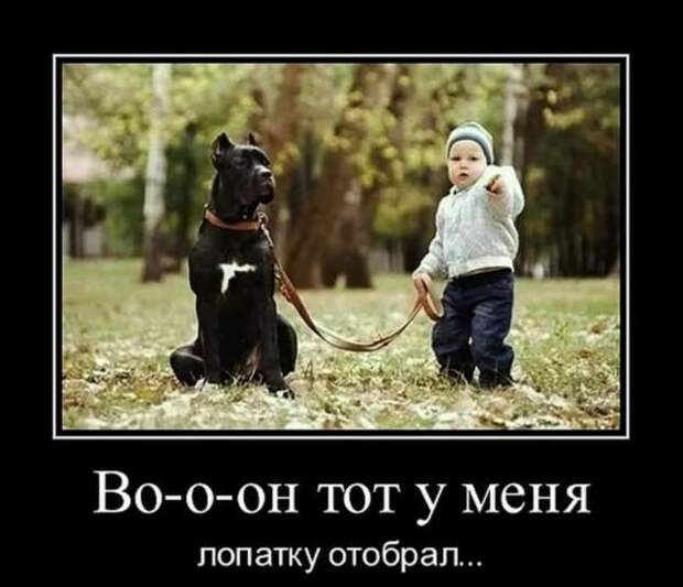 Прикольные демотиваторы с надписями. Подборка chert-poberi-dem-chert-poberi-dem-35290913072020-2 картинка chert-poberi-dem-35290913072020-2