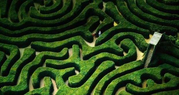 samyi-dlinnyi-labirint-3 самый длинный лабиринт Longleat Hedge Maze