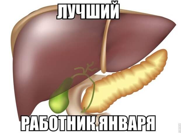Смешные картинки с надписями прикол, юмор