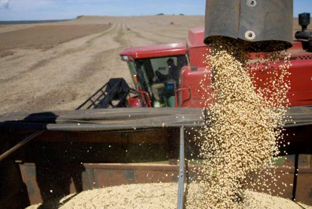 В России категорически отказываются увеличивать квоты на экспорт зерна в 2022 году свыше 11 млн. тонн