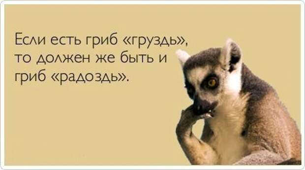 Писанина 2