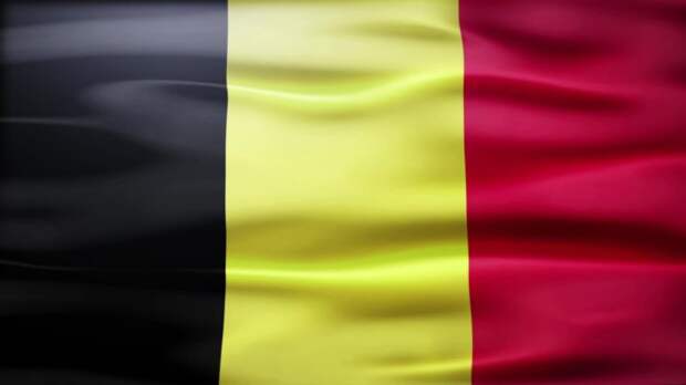 Как выглядит флаг belgium