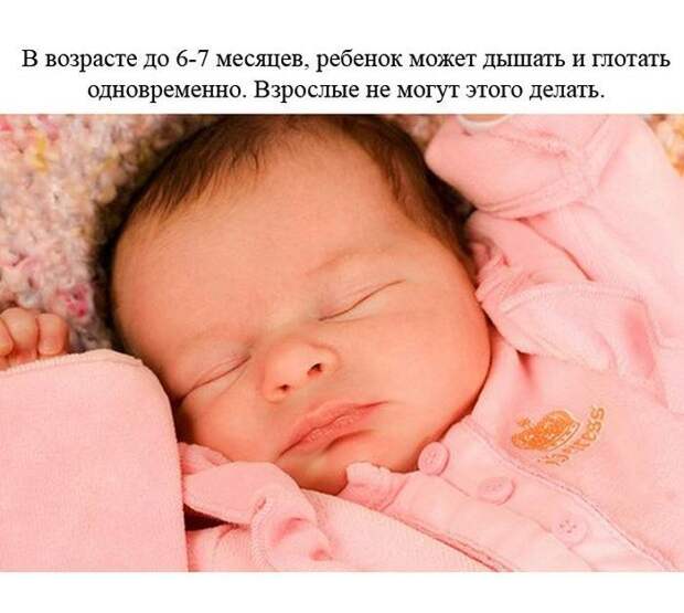 Познавательные и забавные факты (24 фото) Познавательные и забавные факты (24 фото)